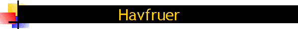 Havfruer